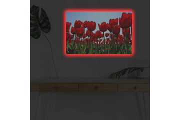 Lerretsbilde med LED-belysning - Fargerik tulipanåker i full blomst - Rød / Grønn - Interiør - Maleri & posters - Lerretsbilder