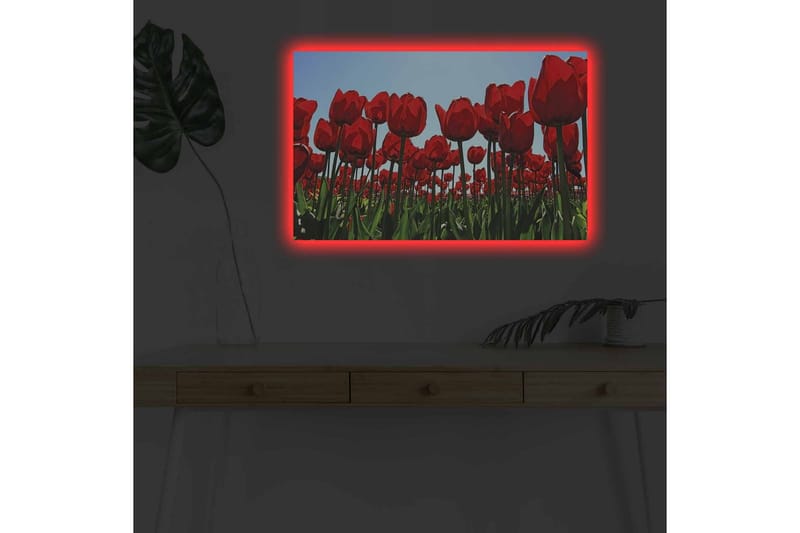 Lerretsbilde med LED-belysning - Fargerik tulipanåker i full blomst - Rød / Grønn - Interiør - Maleri & posters - Lerretsbilder