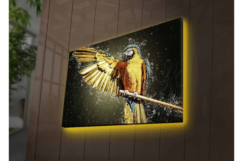 Lerretsbilde med LED-belysning - Fargerik papegøye med utstrakte vinger - Gull / Blå / Grønn - Interiør - Maleri & posters - Lerretsbilder