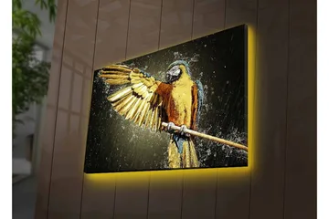 Lerretsbilde med LED-belysning - Fargerik papegøye med utstrakte vinger - Gull / Blå / Grønn - Interiør - Maleri & posters - Lerretsbilder