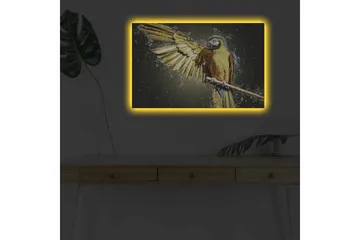 Lerretsbilde med LED-belysning - Fargerik papegøye med utstrakte vinger - Gull / Blå / Grønn - Interiør - Maleri & posters - Lerretsbilder