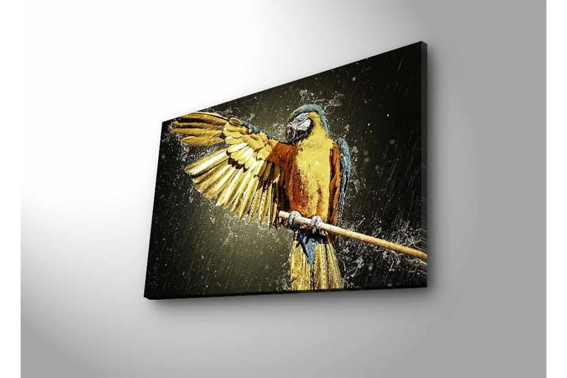 Lerretsbilde med LED-belysning - Fargerik papegøye med utstrakte vinger - Gull / Blå / Grønn - Interiør - Maleri & posters - Lerretsbilder