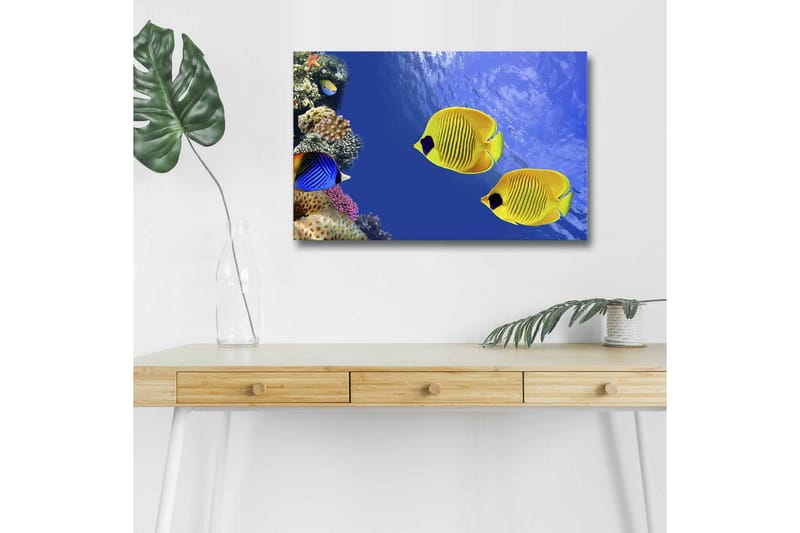 Lerretsbilde med LED-belysning - Fargerike tropiske fisker som svømmer i et korallrev, Blå / Gul / Lilla