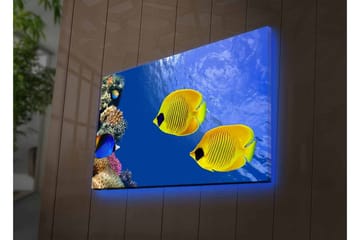 Lerretsbilde med LED-belysning - Fargerike tropiske fisker som svømmer i et korallrev - Blå / Gul / Lilla - Interiør - Maleri & posters - Lerretsbilder