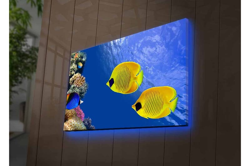 Lerretsbilde med LED-belysning - Fargerike tropiske fisker som svømmer i et korallrev - Blå / Gul / Lilla - Interiør - Maleri & posters - Lerretsbilder