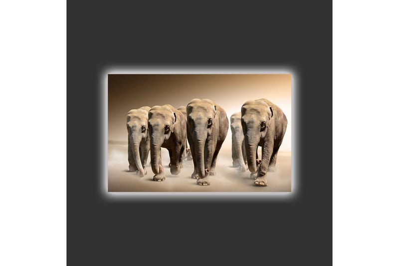 Lerretsbilde med LED-belysning - Fem elefanter som går på rad gjennom et sandete miljø - Beige / Brun / Grå - Interiør - Maleri & posters - Lerretsbilder