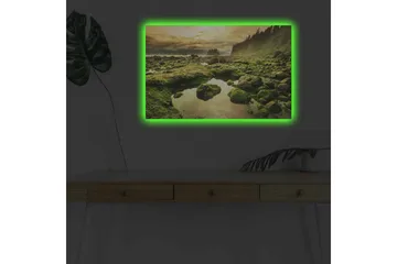Lerretsbilde med LED-belysning - Frodig kystlandskap med klipper og speillignende vannpytter - Grønn / Brun / Gul - Interiør - Maleri & posters - Lerretsbilder