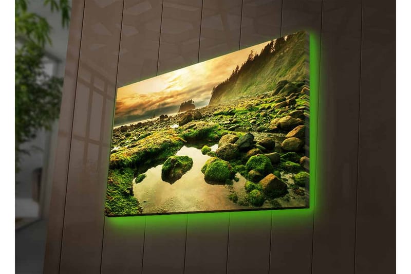 Lerretsbilde med LED-belysning - Frodig kystlandskap med klipper og speillignende vannpytter - Grønn / Brun / Gul - Interiør - Maleri & posters - Lerretsbilder