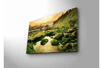 Lerretsbilde med LED-belysning - Frodig kystlandskap med klipper og speillignende vannpytter - Grønn / Brun / Gul - Interiør - Maleri & posters - Lerretsbilder