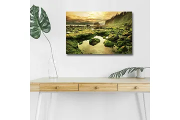 Lerretsbilde med LED-belysning - Frodig kystlandskap med klipper og speillignende vannpytter - Grønn / Brun / Gul - Interiør - Maleri & posters - Lerretsbilder