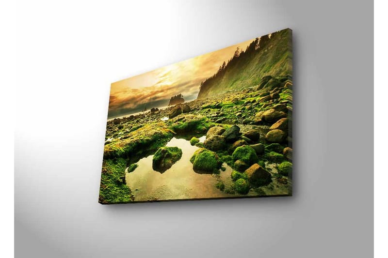 Lerretsbilde med LED-belysning - Frodig kystlandskap med klipper og speillignende vannpytter - Grønn / Brun / Gul - Interiør - Maleri & posters - Lerretsbilder