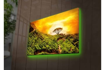Lerretsbilde med LED-belysning - Frodig landskap med en ensom tretopp mot en gyllen himmel - Grønn / Gull / Brun - Interiør - Maleri & posters - Lerretsbilder
