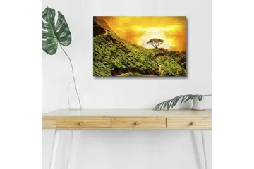 Lerretsbilde med LED-belysning - Frodig landskap med en ensom tretopp mot en gyllen himmel - Grønn / Gull / Brun - Interiør - Maleri & posters - Lerretsbilder