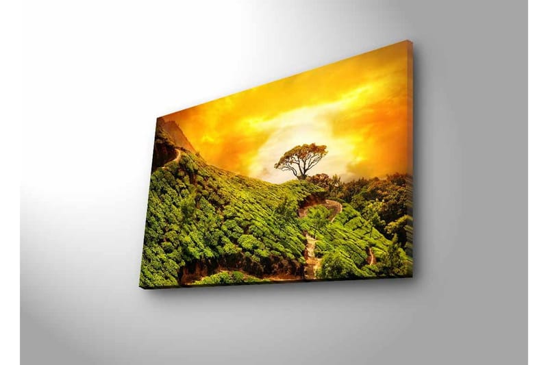 Lerretsbilde med LED-belysning - Frodig landskap med en ensom tretopp mot en gyllen himmel - Grønn / Gull / Brun - Interiør - Maleri & posters - Lerretsbilder