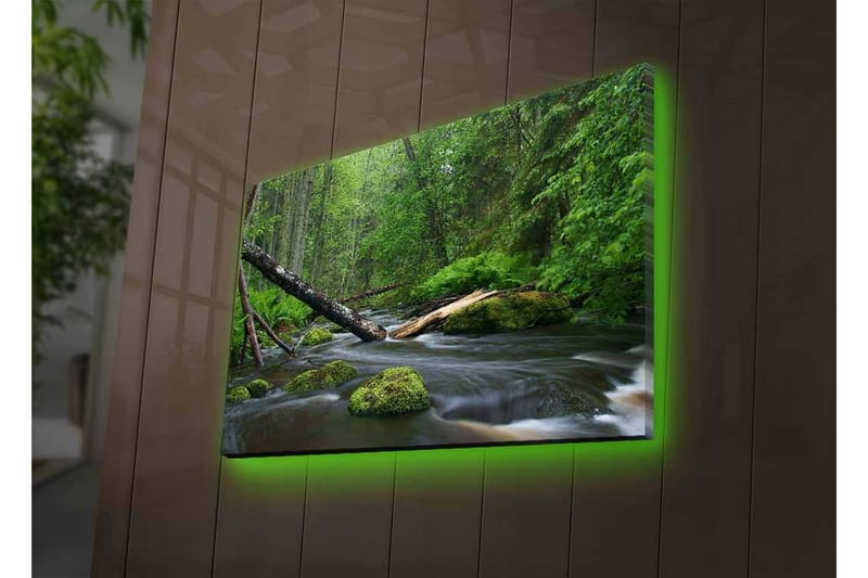 Lerretsbilde med LED-belysning - Frodig skog med en klukkende bekk - Grønn / Brun / Svart - Interiør - Maleri & posters - Lerretsbilder
