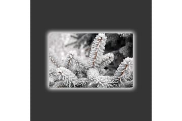 Lerretsbilde med LED-belysning - Frosne grantrær i vinterlandskap - Hvit / Grå / Brun - Interiør - Maleri & posters - Lerretsbilder