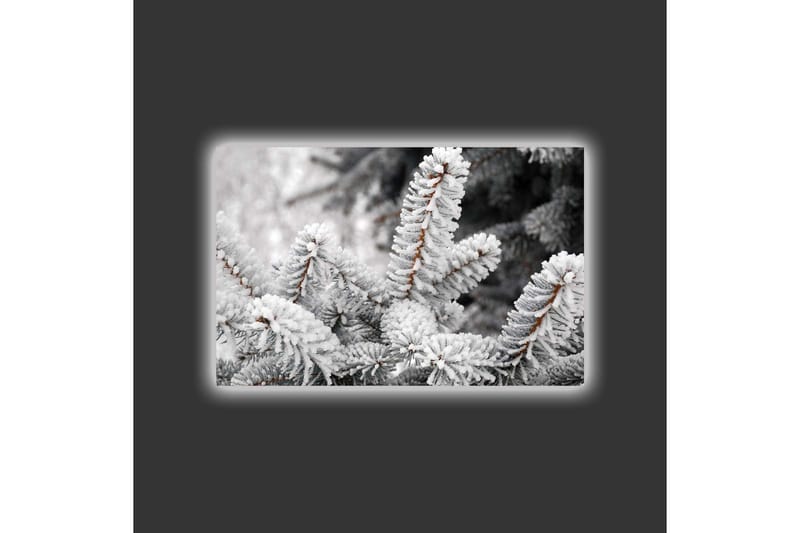 Lerretsbilde med LED-belysning - Frosne grantrær i vinterlandskap - Hvit / Grå / Brun - Interiør - Maleri & posters - Lerretsbilder