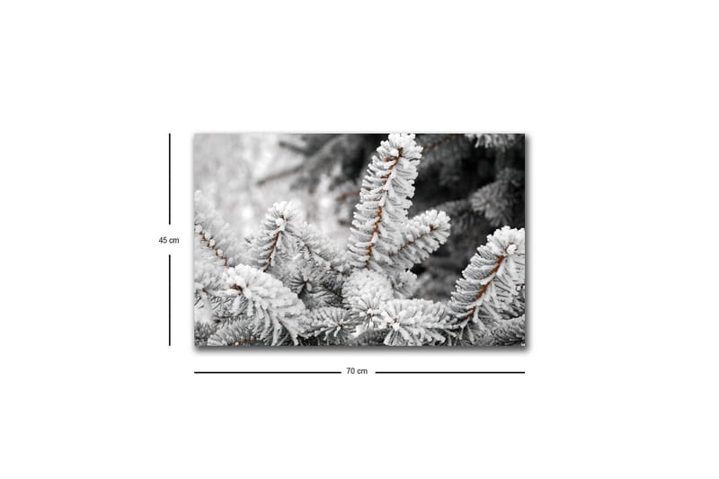 Lerretsbilde med LED-belysning - Frosne grantrær i vinterlandskap - Hvit / Grå / Brun - Interiør - Maleri & posters - Lerretsbilder