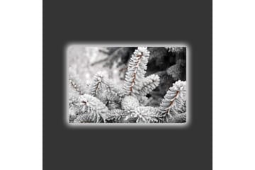 Lerretsbilde med LED-belysning - Frosne grantrær i vinterlandskap - Hvit / Grå / Brun - Interiør - Maleri & posters - Lerretsbilder