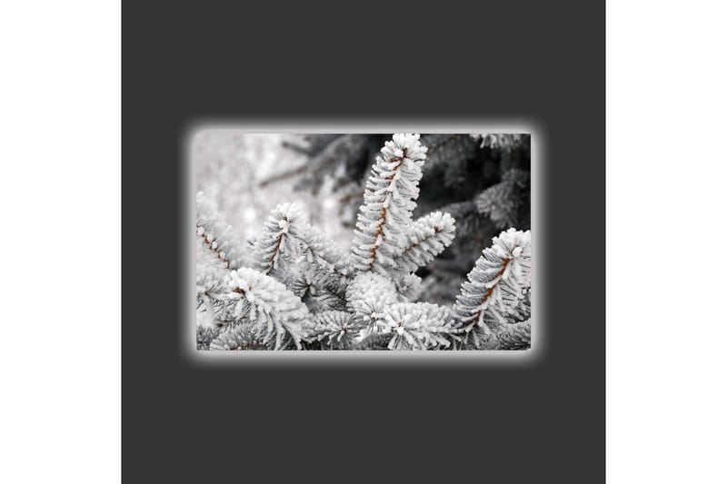 Lerretsbilde med LED-belysning - Frosne grantrær i vinterlandskap - Hvit / Grå / Brun - Interiør - Maleri & posters - Lerretsbilder