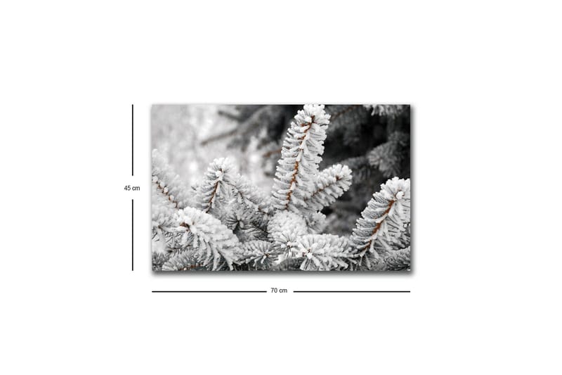 Lerretsbilde med LED-belysning - Frosne grantrær i vinterlandskap - Hvit / Grå / Brun - Interiør - Maleri & posters - Lerretsbilder