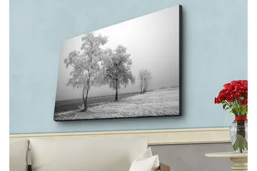 Lerretsbilde med LED-belysning - Frosne trær i et vinterlandskap - Hvit / Grå - Interiør - Maleri & posters - Lerretsbilder