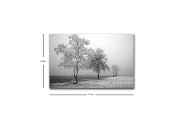 Lerretsbilde med LED-belysning - Frosne trær i et vinterlandskap - Hvit / Grå - Interiør - Maleri & posters - Lerretsbilder