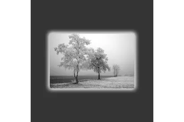 Lerretsbilde med LED-belysning - Frosne trær i et vinterlandskap - Hvit / Grå - Interiør - Maleri & posters - Lerretsbilder