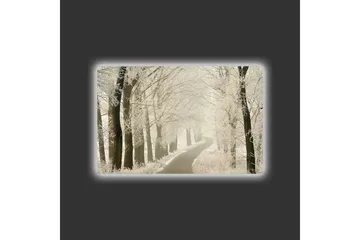 Lerretsbilde med LED-belysning - Frossen vei omgitt av snødekte trær - Hvit / Grå / Svart - Interiør - Maleri & posters - Lerretsbilder