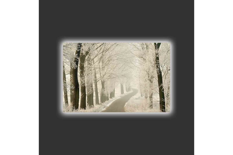Lerretsbilde med LED-belysning - Frossen vei omgitt av snødekte trær - Hvit / Grå / Svart - Interiør - Maleri & posters - Lerretsbilder