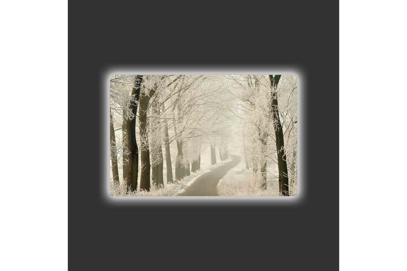 Lerretsbilde med LED-belysning - Frossen vei omgitt av snødekte trær - Hvit / Grå / Svart - Interiør - Maleri & posters - Lerretsbilder