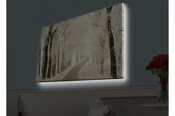 Lerretsbilde med LED-belysning - Frossen vei omgitt av snødekte trær - Hvit / Grå / Svart - Interiør - Maleri & posters - Lerretsbilder
