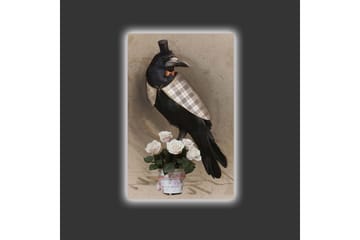 Lerretsbilde med LED-belysning - Fugl i elegant antrekk med en rosebukett - Svart / Lys rosa / Beige - Interiør - Maleri & posters - Lerretsbilder