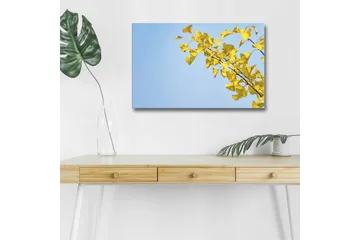 Lerretsbilde med LED-belysning - Ginkgoblader mot en klar blå himmel - Gul / Blå - Interiør - Maleri & posters - Lerretsbilder