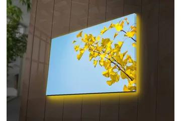 Lerretsbilde med LED-belysning - Ginkgoblader mot en klar blå himmel - Gul / Blå - Interiør - Maleri & posters - Lerretsbilder
