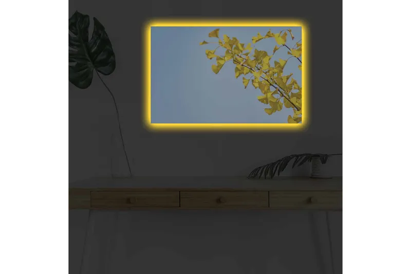 Lerretsbilde med LED-belysning - Ginkgoblader mot en klar blå himmel - Gul / Blå - Interiør - Maleri & posters - Lerretsbilder