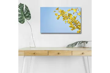 Lerretsbilde med LED-belysning - Ginkgoblader mot en klar blå himmel - Gul / Blå - Interiør - Maleri & posters - Lerretsbilder