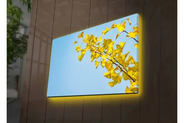 Lerretsbilde med LED-belysning - Ginkgoblader mot en klar blå himmel - Gul / Blå - Interiør - Maleri & posters - Lerretsbilder