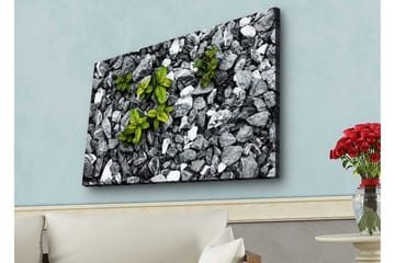 Lerretsbilde med LED-belysning - Grå steinete overflate med grønne planter som vokser ut - Grå / Grønn - Interiør - Maleri & posters - Lerretsbilder