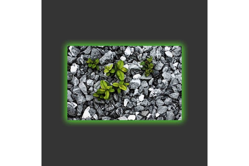 Lerretsbilde med LED-belysning - Grå steinete overflate med grønne planter som vokser ut - Grå / Grønn - Interiør - Maleri & posters - Lerretsbilder