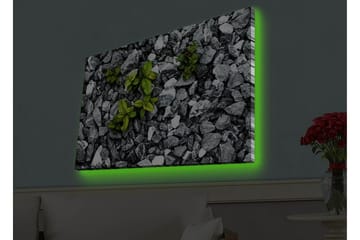 Lerretsbilde med LED-belysning - Grå steinete overflate med grønne planter som vokser ut - Grå / Grønn - Interiør - Maleri & posters - Lerretsbilder
