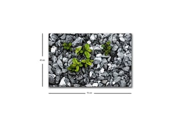 Lerretsbilde med LED-belysning - Grå steinete overflate med grønne planter som vokser ut - Grå / Grønn - Interiør - Maleri & posters - Lerretsbilder