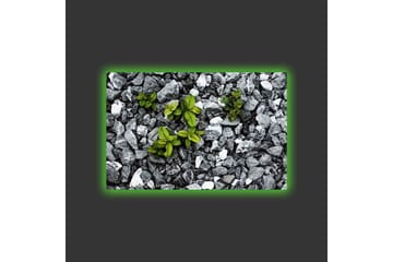 Lerretsbilde med LED-belysning - Grå steinete overflate med grønne planter som vokser ut - Grå / Grønn - Interiør - Maleri & posters - Lerretsbilder