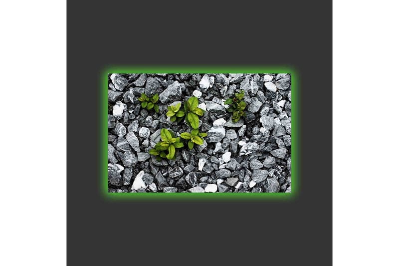 Lerretsbilde med LED-belysning - Grå steinete overflate med grønne planter som vokser ut - Grå / Grønn - Interiør - Maleri & posters - Lerretsbilder
