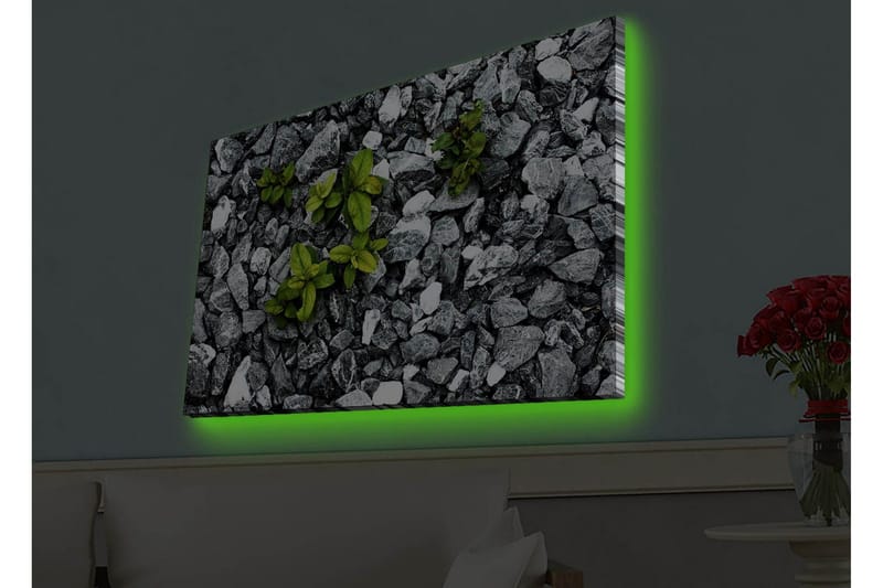 Lerretsbilde med LED-belysning - Grå steinete overflate med grønne planter som vokser ut - Grå / Grønn - Interiør - Maleri & posters - Lerretsbilder
