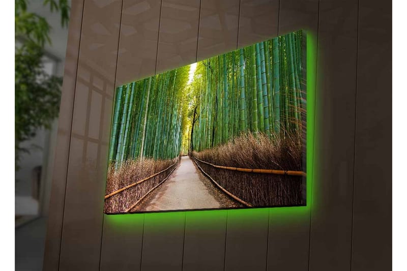 Lerretsbilde med LED-belysning - Grønn bambusskog med en sti som fører gjennom trærne - Grønn / Brun - Interiør - Maleri & posters - Lerretsbilder