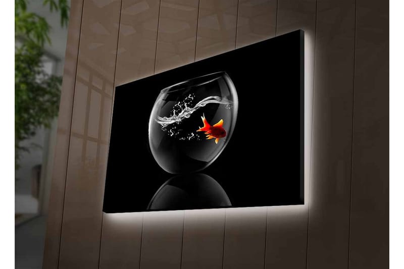 Lerretsbilde med LED-belysning - Gullfisk som svømmer i en glassbeholder med vannsprut - Svart / Rød / Gjennomsiktig - Interiør - Maleri & posters - Lerretsbilder