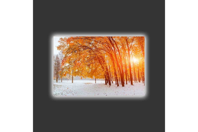 Lerretsbilde med LED-belysning - Gyllen høstskog med solstråler som skinner gjennom trærne - Oransje / Gull / Hvit - Interiør - Maleri & posters - Lerretsbilder