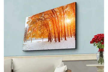 Lerretsbilde med LED-belysning - Gyllen høstskog med solstråler som skinner gjennom trærne - Oransje / Gull / Hvit - Interiør - Maleri & posters - Lerretsbilder