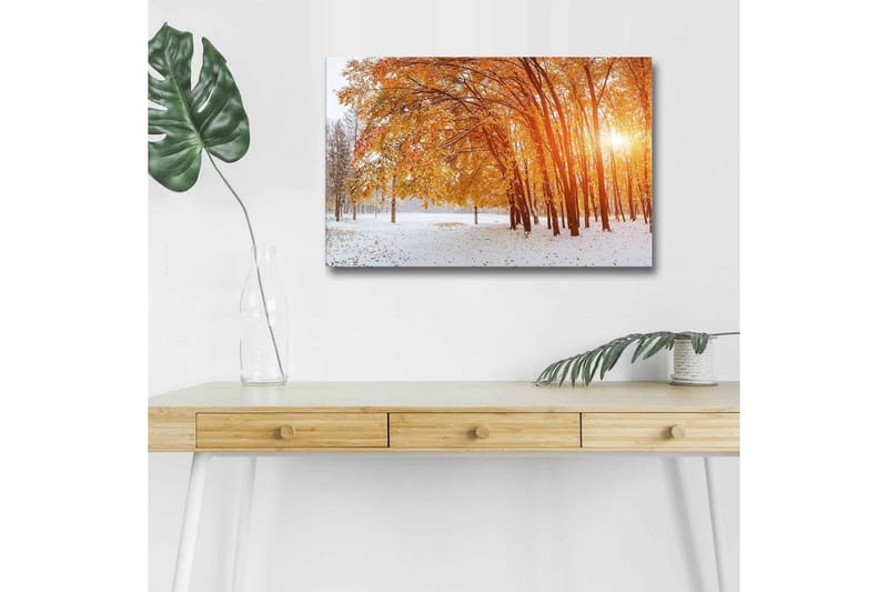 Lerretsbilde med LED-belysning - Høstlandskap med gylne trær i et snødekt miljø - Gull / Hvit / Brun - Interiør - Maleri & posters - Lerretsbilder